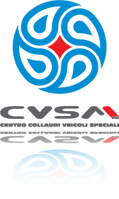 cvsm.it
